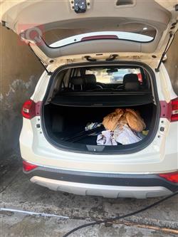 بايك سينوفا X65